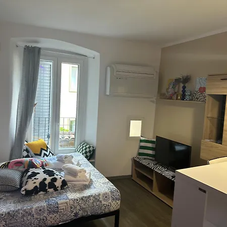 Feel - Vivid بيرغامو