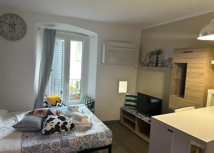 Feel - Vivid 베르가모